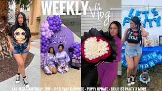 WEEKLY VLOG | LAS VEGAS BIRTHDAY TRIP + SIP &amp; SLAY SURPRISE + PUPPY UPDATE + BENJI 1ST PAWTY &amp; MORE