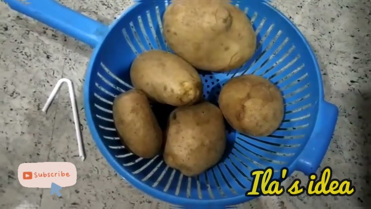 Potato experiment in tamil science experiments at home YouTube