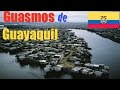 Lugares HORRIBLES para vivir: Guasmo Sur, Guayaquil