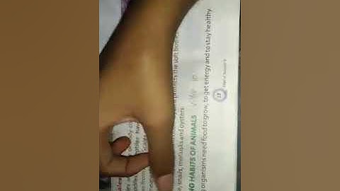 Class 5 Science feeding habits of animals video 10