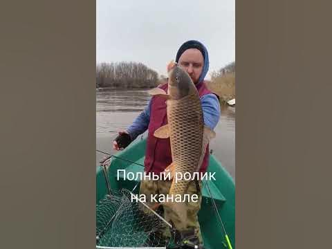 Астрахань золотой сазан,#удовольствие#кайф полный отрыв #рыбалка # ...