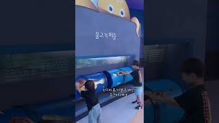 목포어린이바다과학관 영상