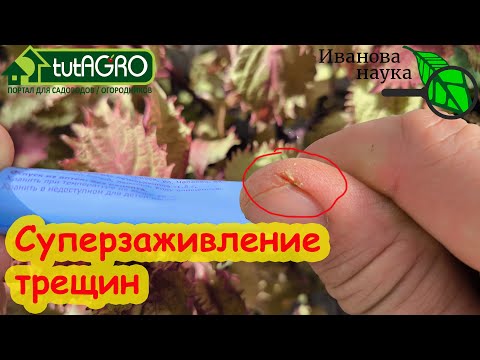 ДЕШЕВАЯ СОВЕТСКАЯ МАЗЬ С МОМЕНТАЛЬНЫМ ДЕЙСТВИЕМ: быстрое заживление трещин на коже.