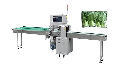 Horizontal Wrapping Flow Pack Packing Machine Bread Cupcake Ice Cream Lolly Popsicle Packing Machine