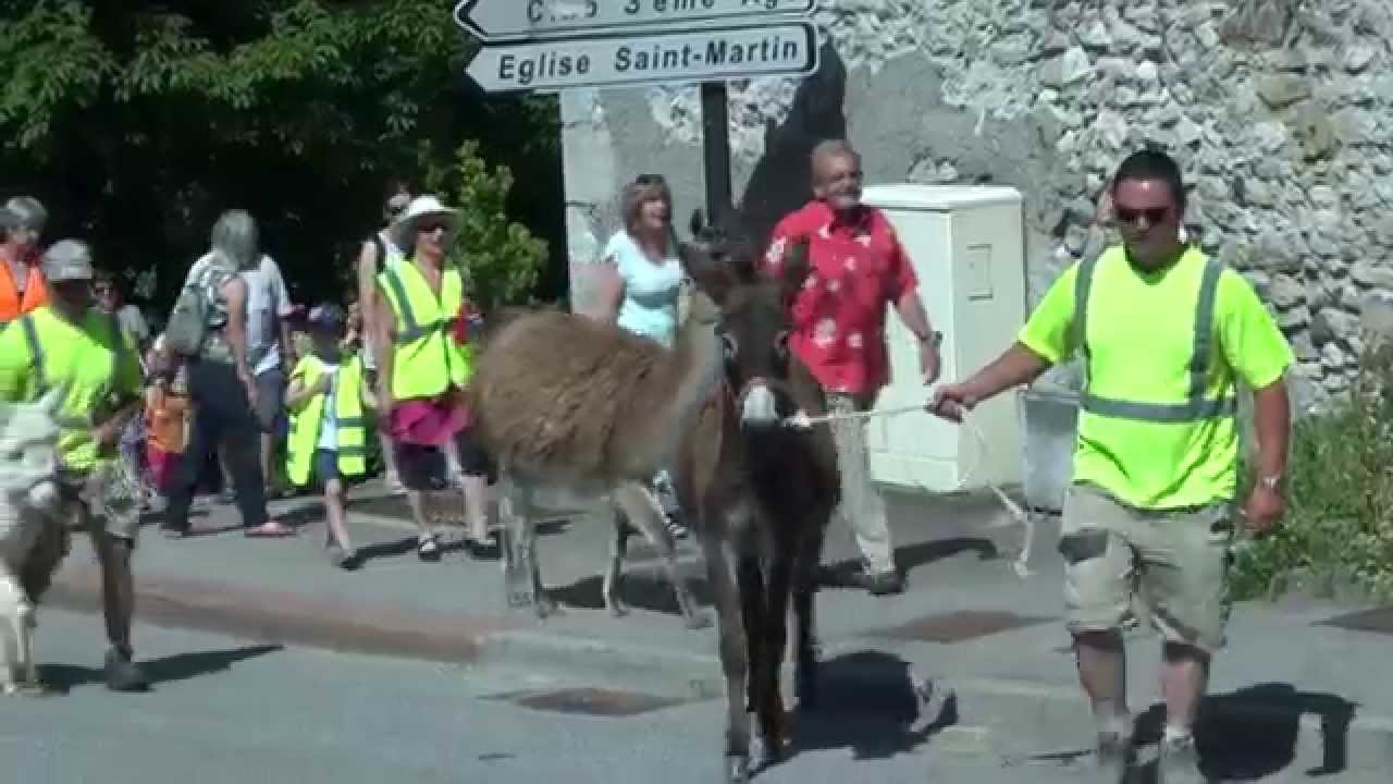 Arrivée des lamas et alpagas à Seyssins