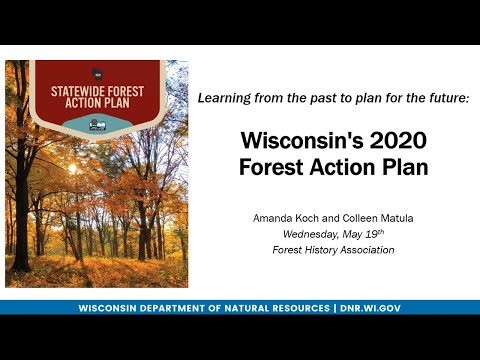 Planning for our future: Wisconsin's 2020 Forest Action Pan