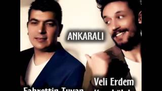 Ankarali