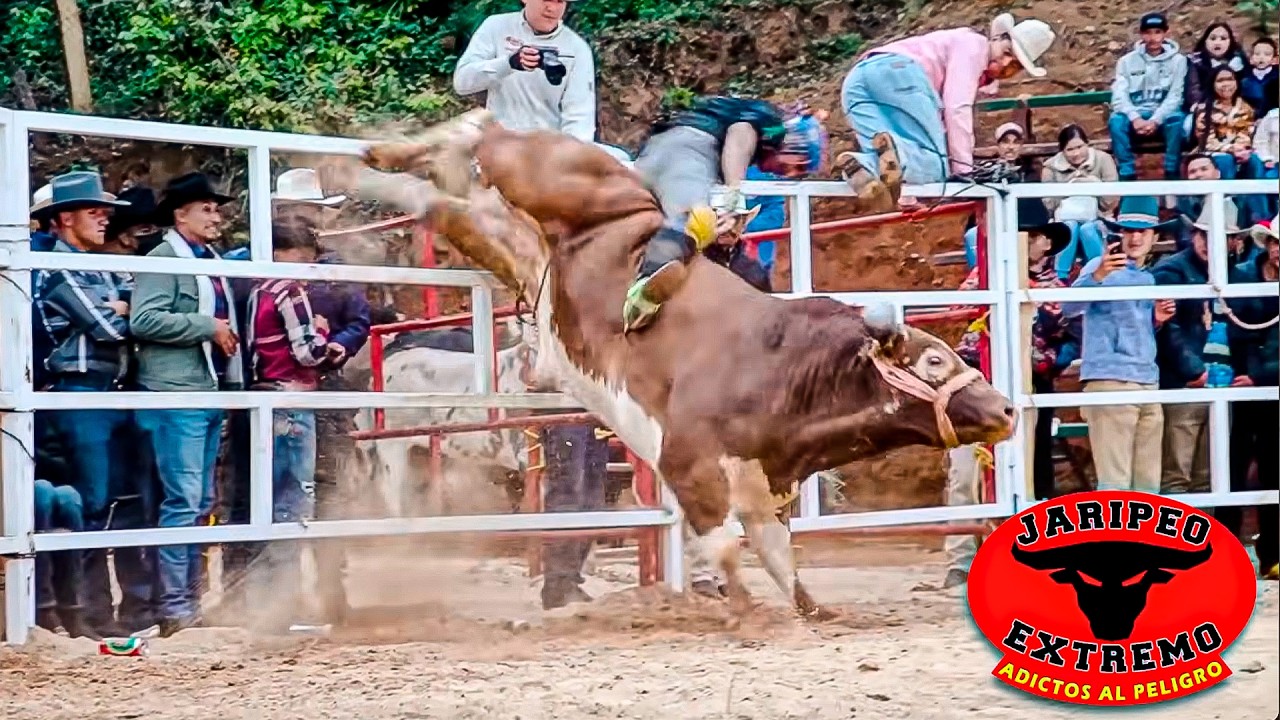 De los toros mas DIFICILES DE QUEDARLES el Romper Corazones || La Hermandad en El Carmen Michoacan