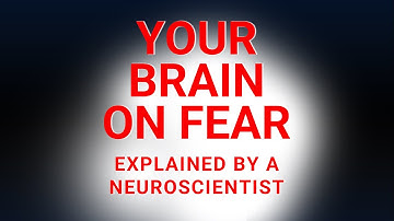 How Fear Works in the Brain – Andrew Huberman Explains