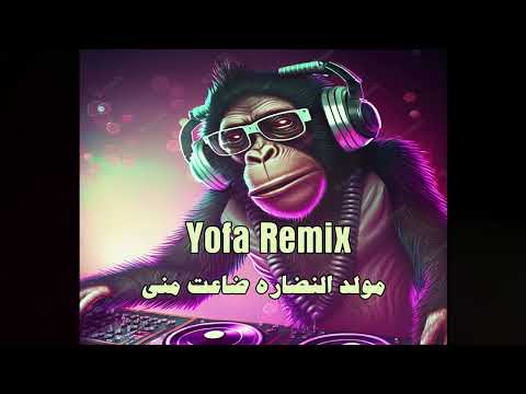 ريمكس مصري شعبي مولد النضاره ضاعت مني توزيع يوفا