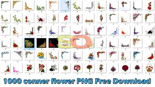 Conner Flower PNG Free Download Clip Arts 2022 Conner Flower PNG Free Download Clip Arts 2022