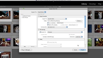 How to Save Lightroom Photos with Edits