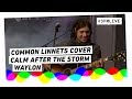 Waylon - Calm After The Storm (Common Linnets cover) | 3FM Live