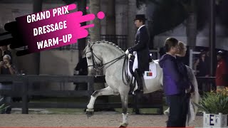 PRE Horse Grand Prix Dressage Freestyle WarmUp Uncut