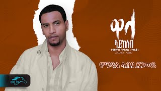 Temesgen Gebreselassie  - Taniqo - Mgudal Abyu Tsegemey - ምጉዳል ኣብዩ ጸገመይ - Eritrean Music - Audio
