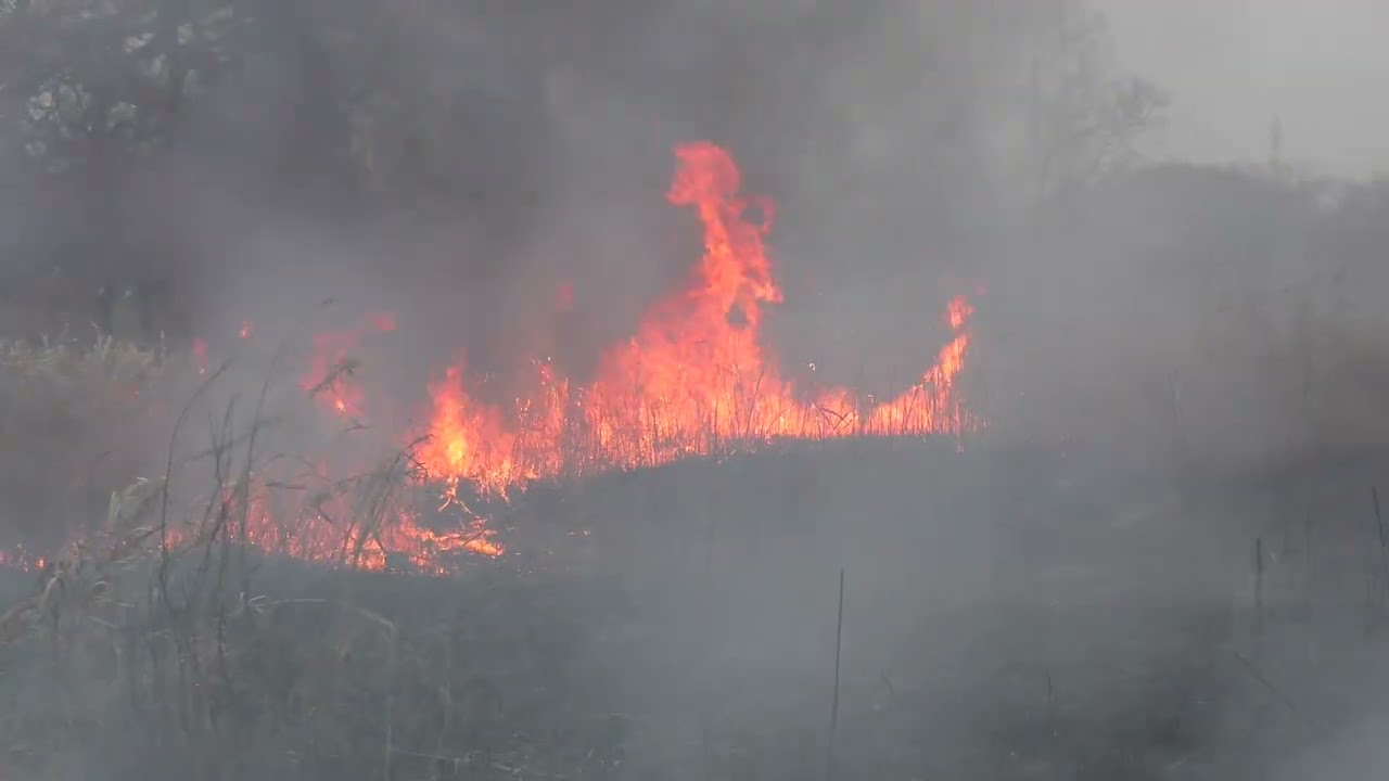 壺 春野焼き 2024年の小貝川河川敷の野焼き：Controlled burning in Japan @ River