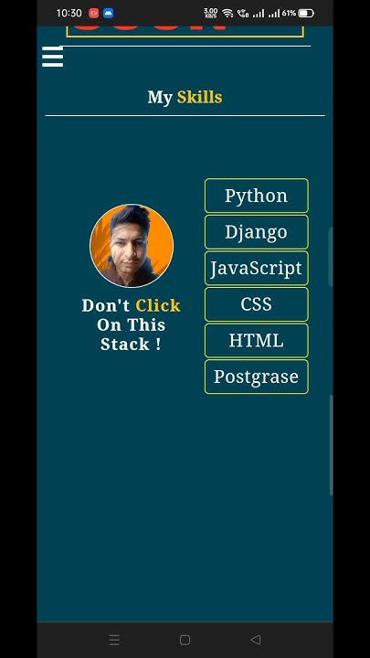 Portfolio Website Skill Section || Skills display || website skill ...