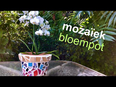 Video: Hoe Maak Je Een Mozaïek Voor Een Bloempot