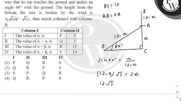 A tree 12 m high, is broken by the wind in such a way that its top touches the ground and makes ....