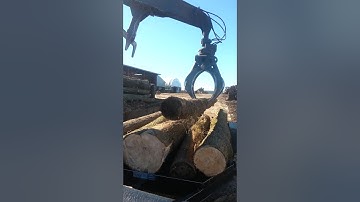 Unloading Logs At The Sawmill
