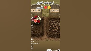 قرآن كريم بصوت جميل ♥️ #فلسطين