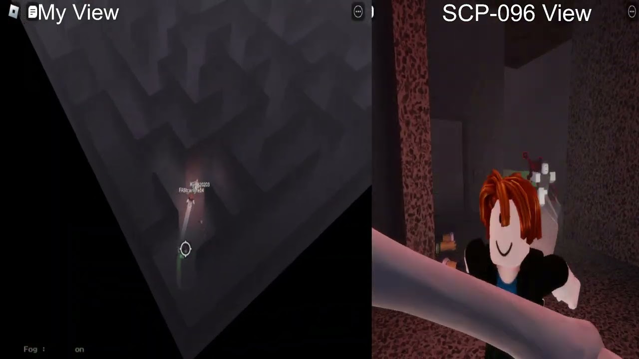 My View vs SCP-096 View (SCP-096 Demonstration)