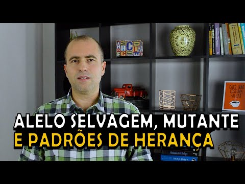 Vídeo: Diferença Entre Tipo Selvagem E Tipo Mutante