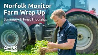 Norfolk Beef & Lamb Monitor Farm - Summary & Final thoughts | AHDB