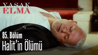 Halit'in ölümü - Yasak Elma 85. Bölüm