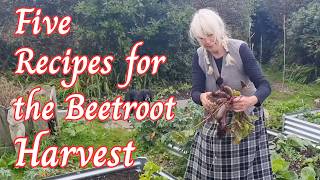 5 Recipes for the Beetroot Harvest screenshot 5
