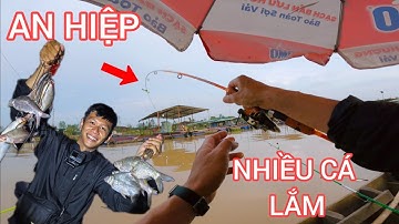 CÂU CÁ SÔNG TRÊN LÀNG BÈ AN HIỆP | MỒI CÁM SIÊU NHẠY CÁ CÓC CÁ MÈ BỰ