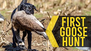 Dogs First Goose Hunt - Ask Lone Duck