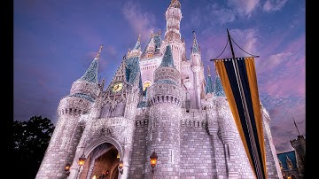 DCP Help Series: Check-In Day