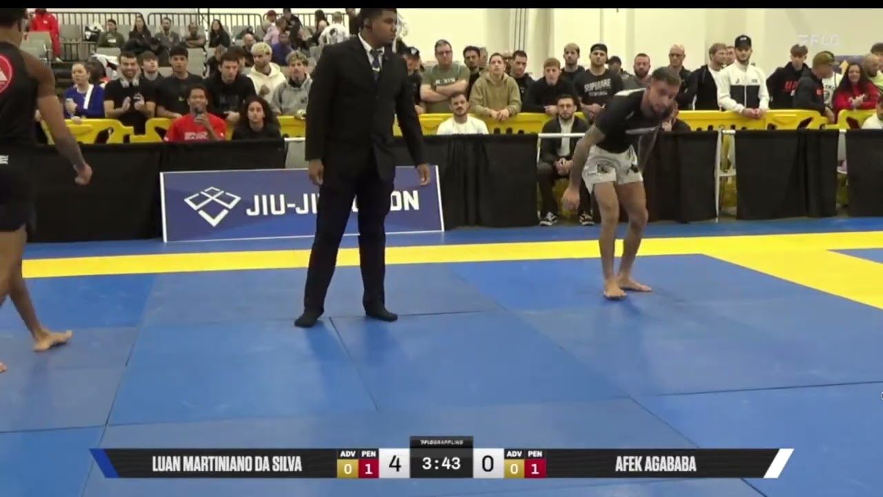 Triangle Armbar
