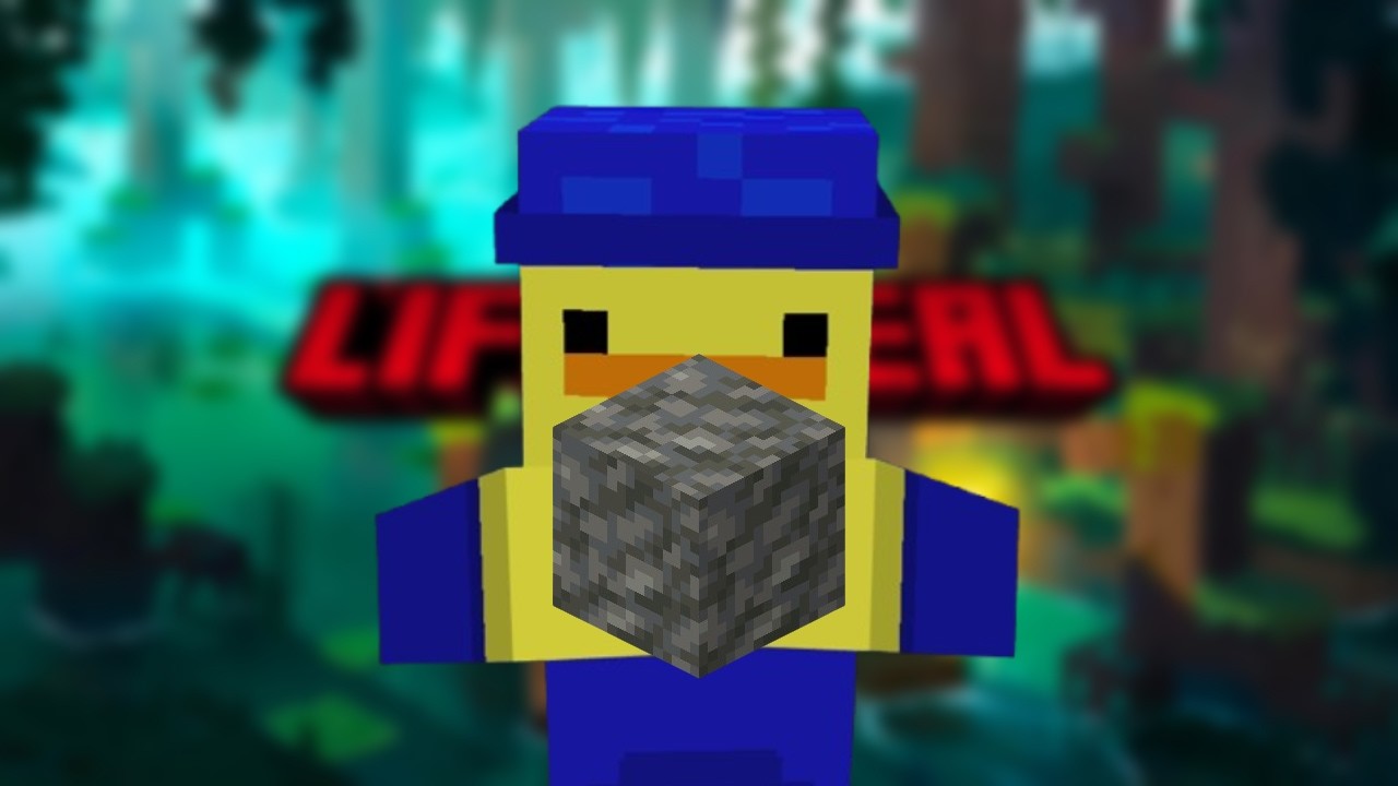 My Lifesteal SMP Application