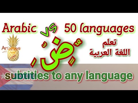 Vídeo: Quants mesos hi ha en àrab?