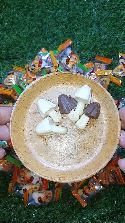 Mushroom chocolate  #chocolate #suricandy #food #youtubeshorts #shorts