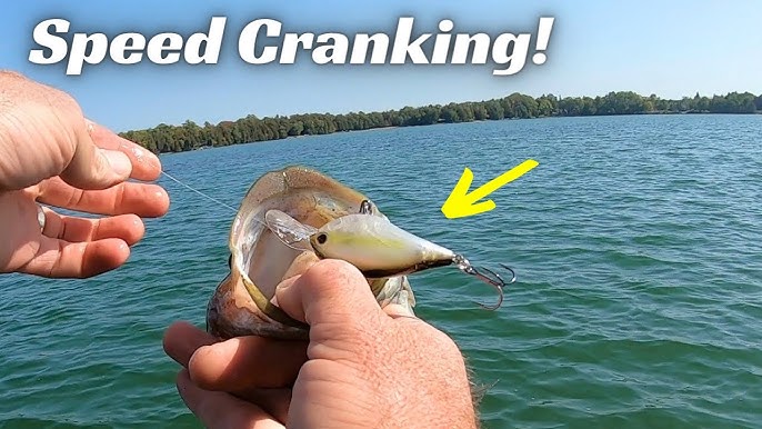 Cold Water Crankbait Tricks For Big Bass In Winter 