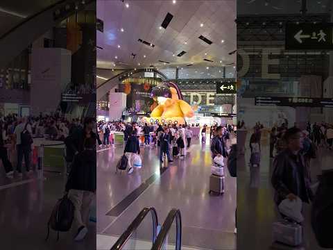 وأخيرا شفت الدب الأصفر في مطار حمد الدولي قطر الدوحة سفر سياحة    