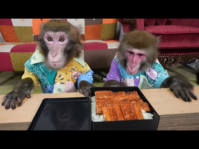 はじめて「うなぎ」を食べたお猿さん…え？こんなに元気になるの？