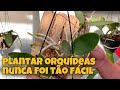 COMO PLANTAR ORQUÍDEAS - 34