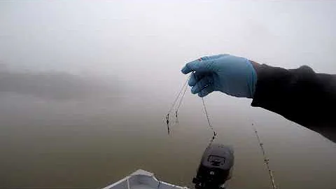 First Fishing Trip 2019