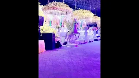 #Decoration Brother's Event & Wedding Planner