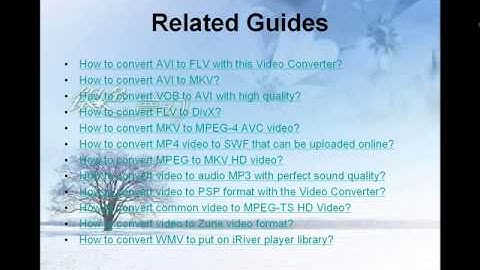 How to convert AVI to FLV with this Video Converter