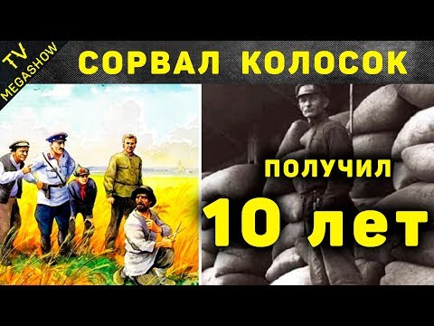 Видео: Най-жестоките закони по времето на СССР: ТОП-5