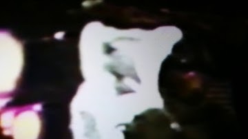 Gravity Plot : Novation circuit + strymon bigsky