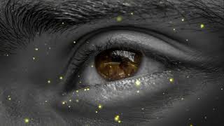 Arabic Songs Urdu Dictionary Channel