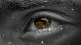 Arabic songs urdu lyrics dictionary channel