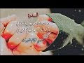 شيلة الدرة كلمات وصل العطياني أداء حاكم الشيباني تصميم كاتم العبرات شيلات قصائد شعر 