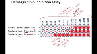 Figures for Influenza intro lecture